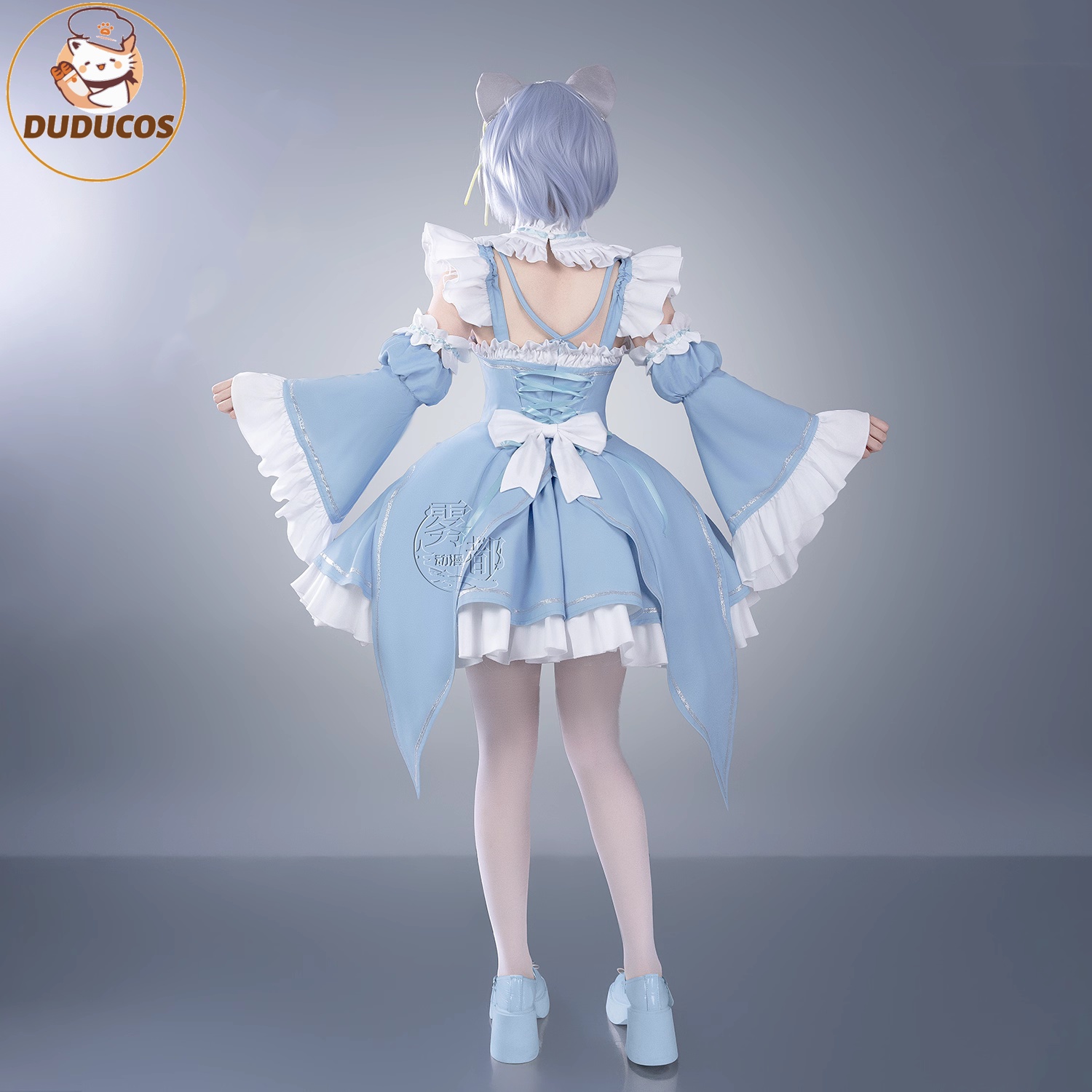 DUDU SR Re:Life in a different - Re Zero Rem Wig 评论和价格