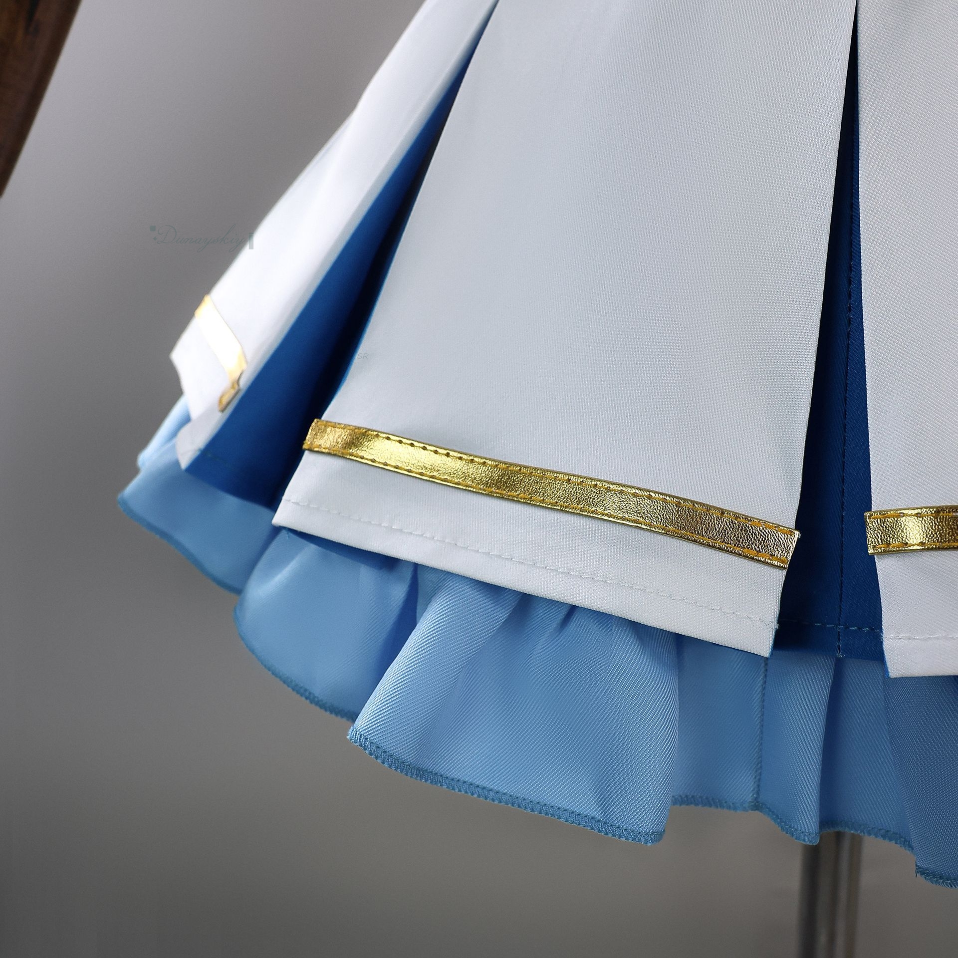 Rem Cosplay Costume Anime Re:L - Re Zero Rem Wig 评论和价格