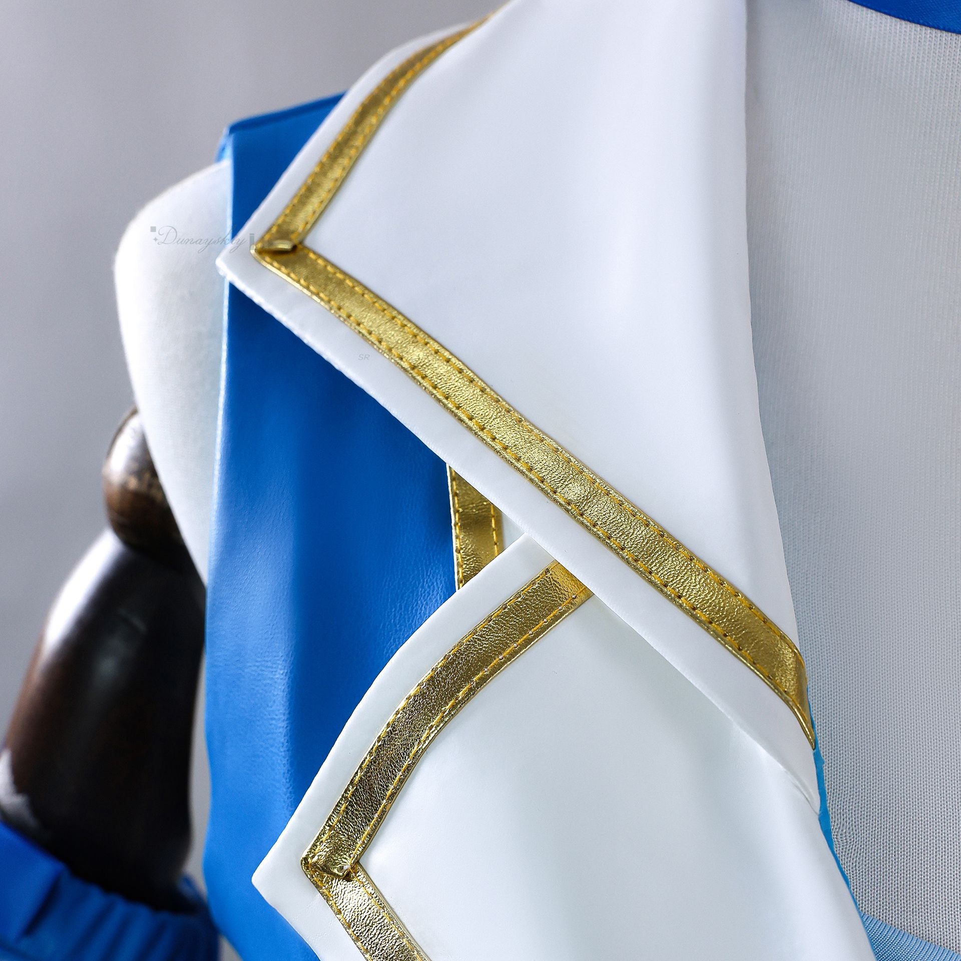 Rem Cosplay Costume Anime Re:L - Re Zero Rem Wig 评论和价格